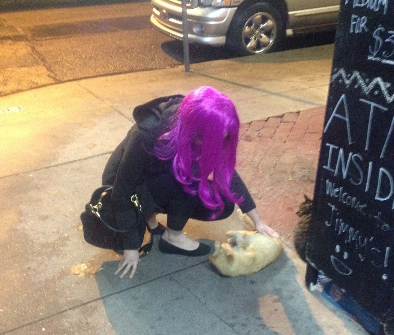 Meghann befriending a Bywater cat